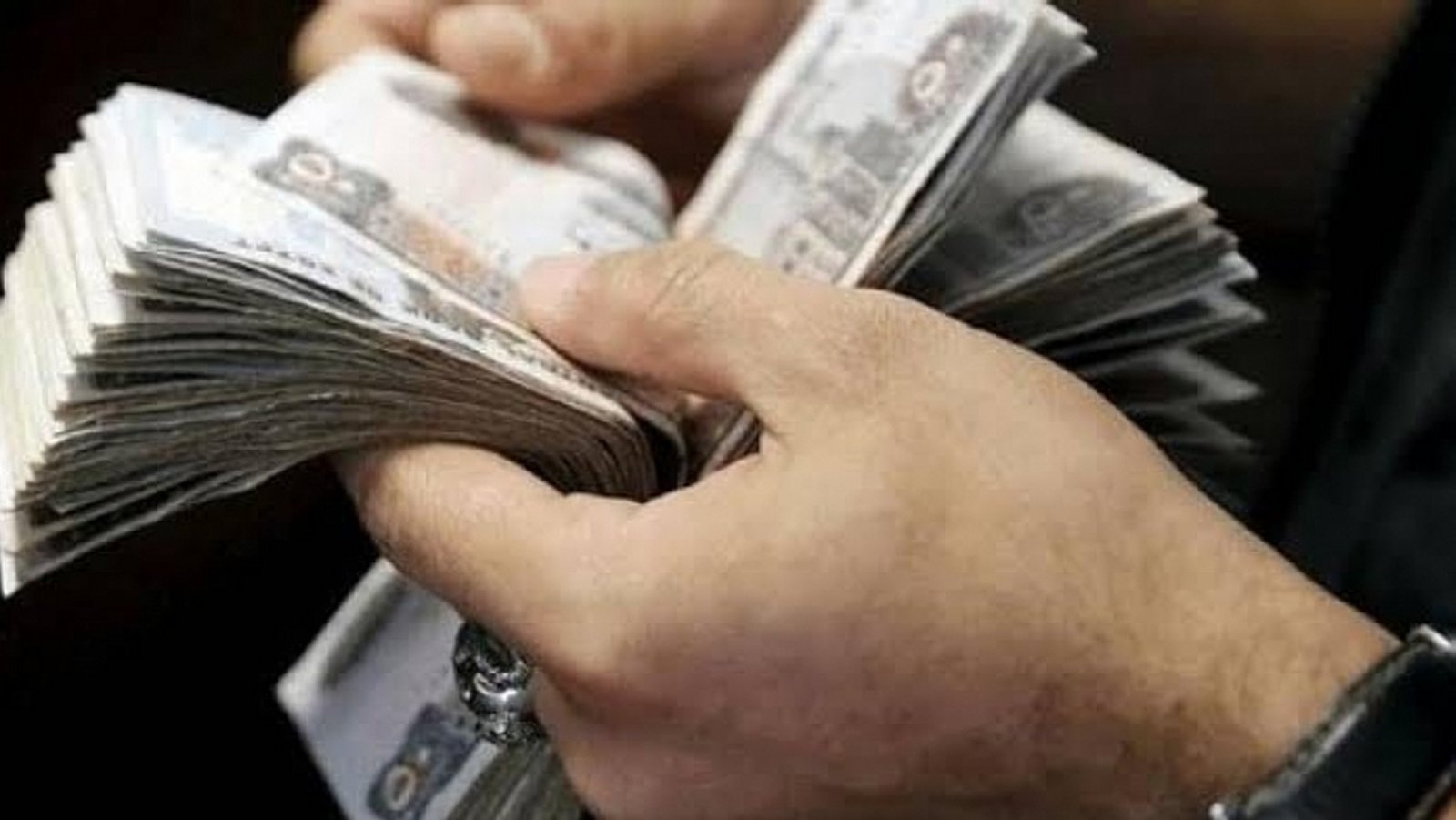 البنك الأهلي يمول مشروع عربات الطعام لحديثي التخرج. تعرف على الشروط